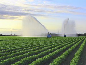 Προκαταβολή της Δράσης 10.1.04 – Μείωση της ρύπανσης νερού από γεωργική δραστηριότητα